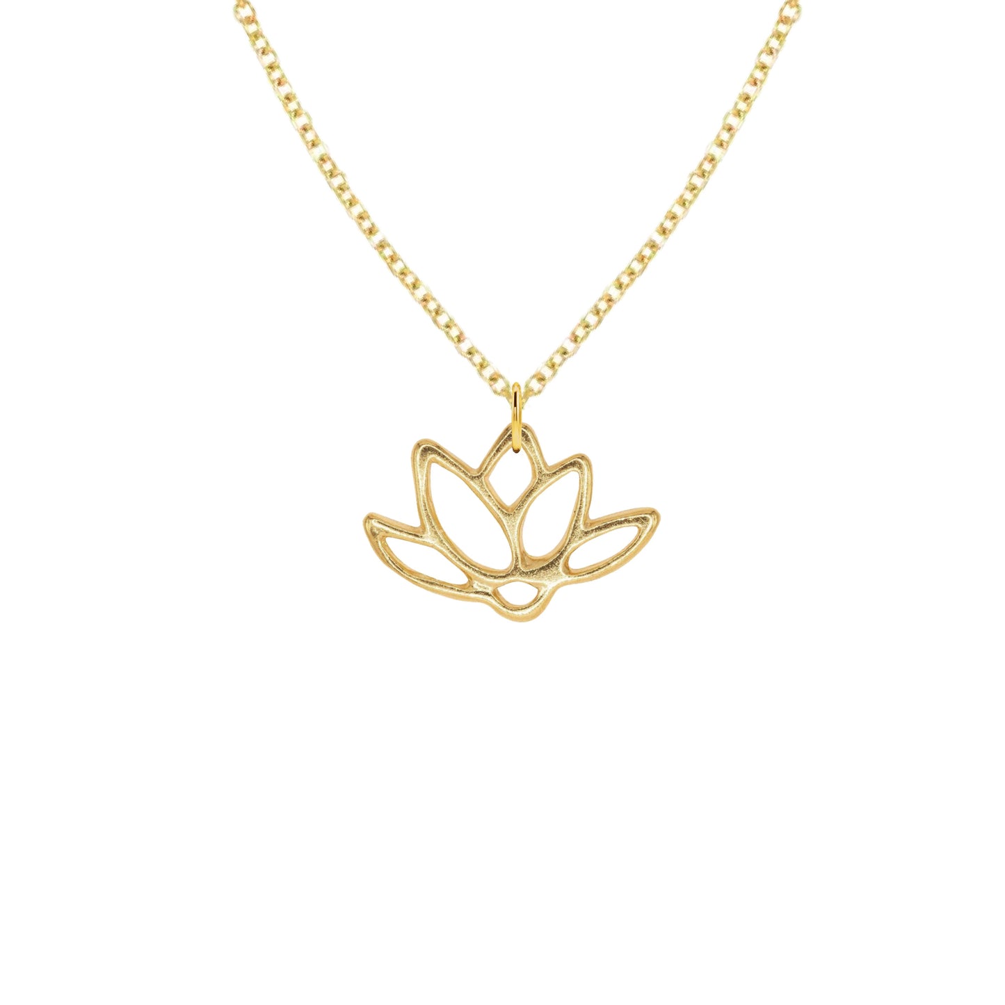 14K Gold Seahorse Charm Necklace Necklace Robyn Canady