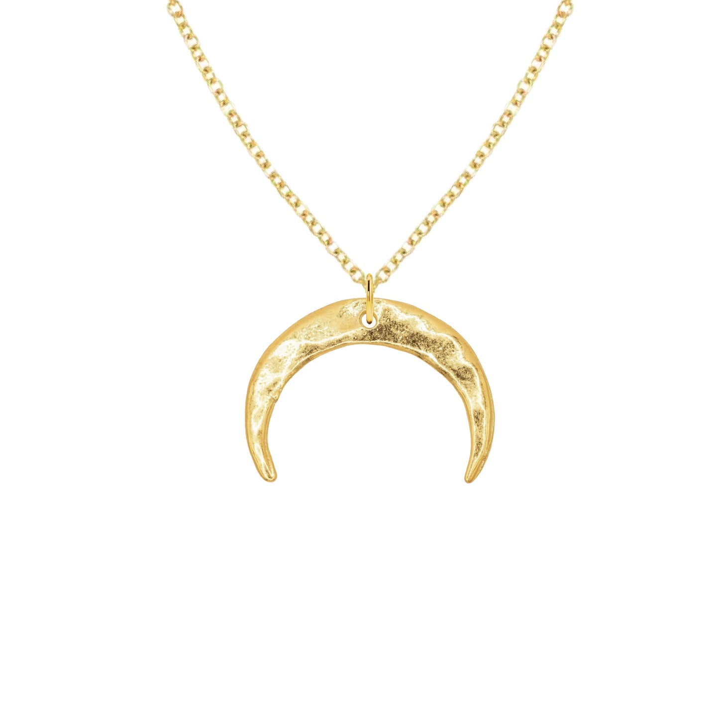14K Gold Seahorse Charm Necklace Necklace Robyn Canady