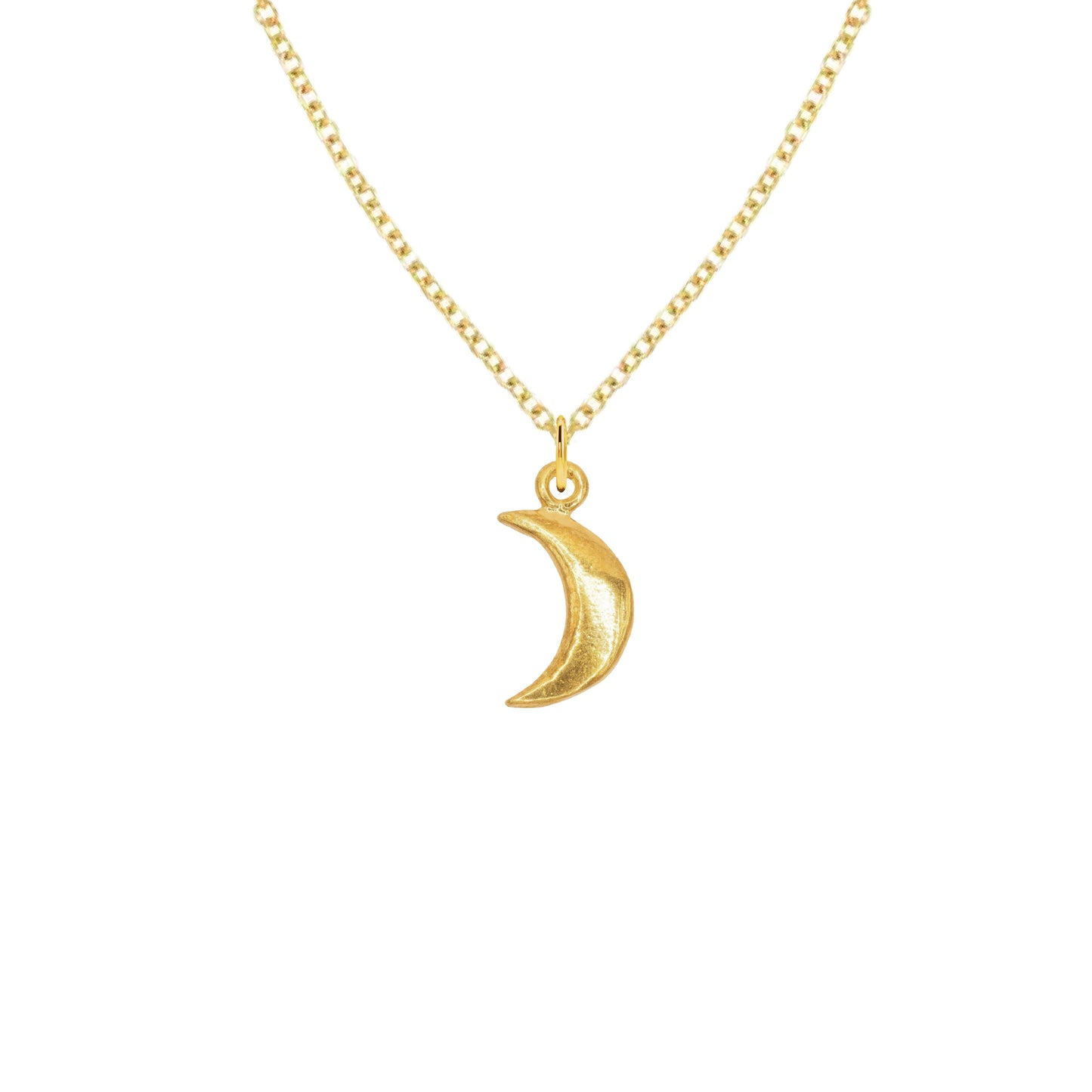 14K Gold Seahorse Charm Necklace Necklace Robyn Canady