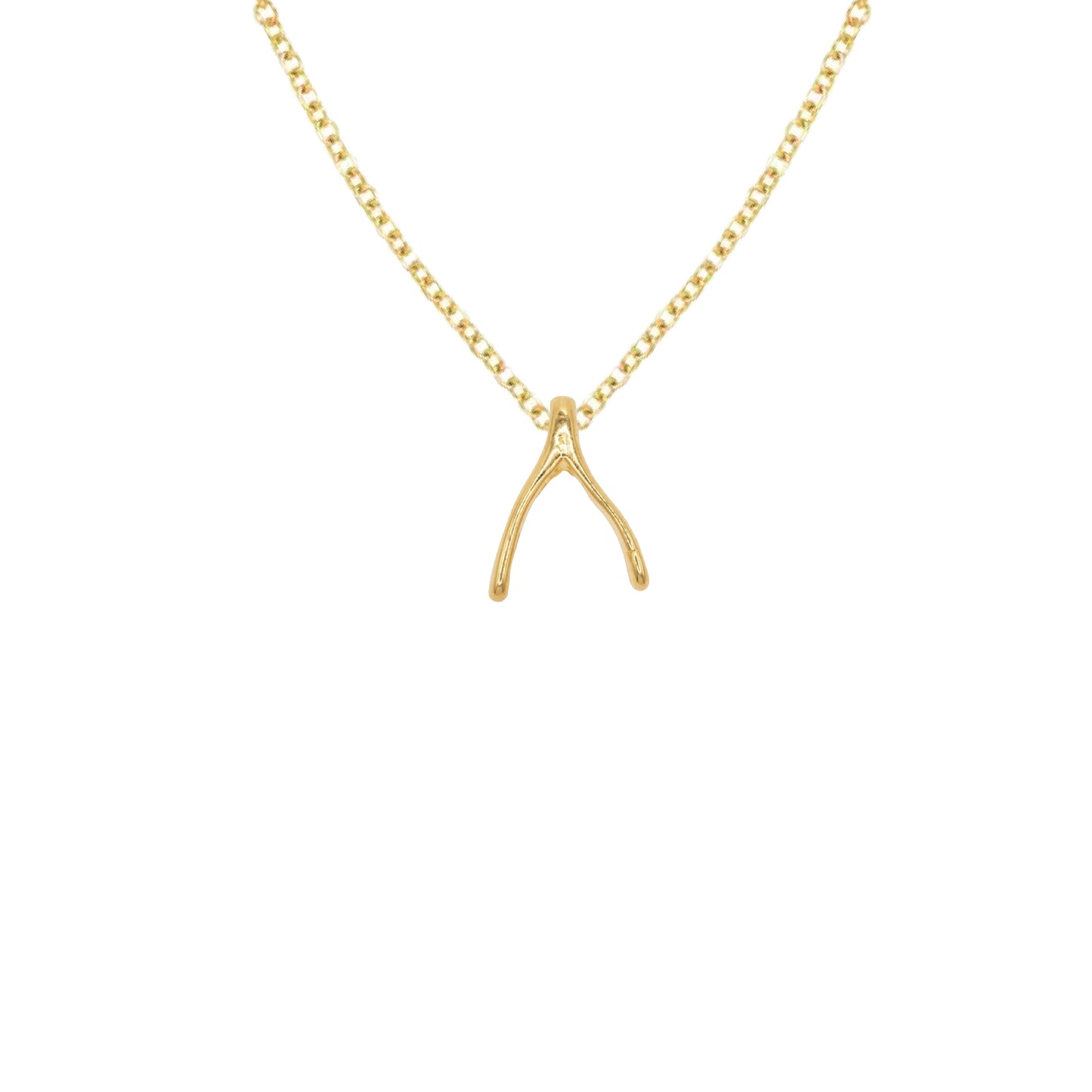 14K Gold Seahorse Charm Necklace Necklace Robyn Canady