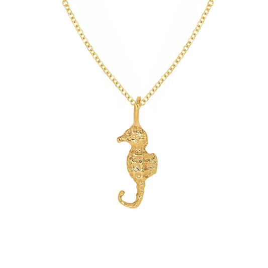14K Gold Seahorse Charm Necklace Necklace Robyn Canady 14K Gold