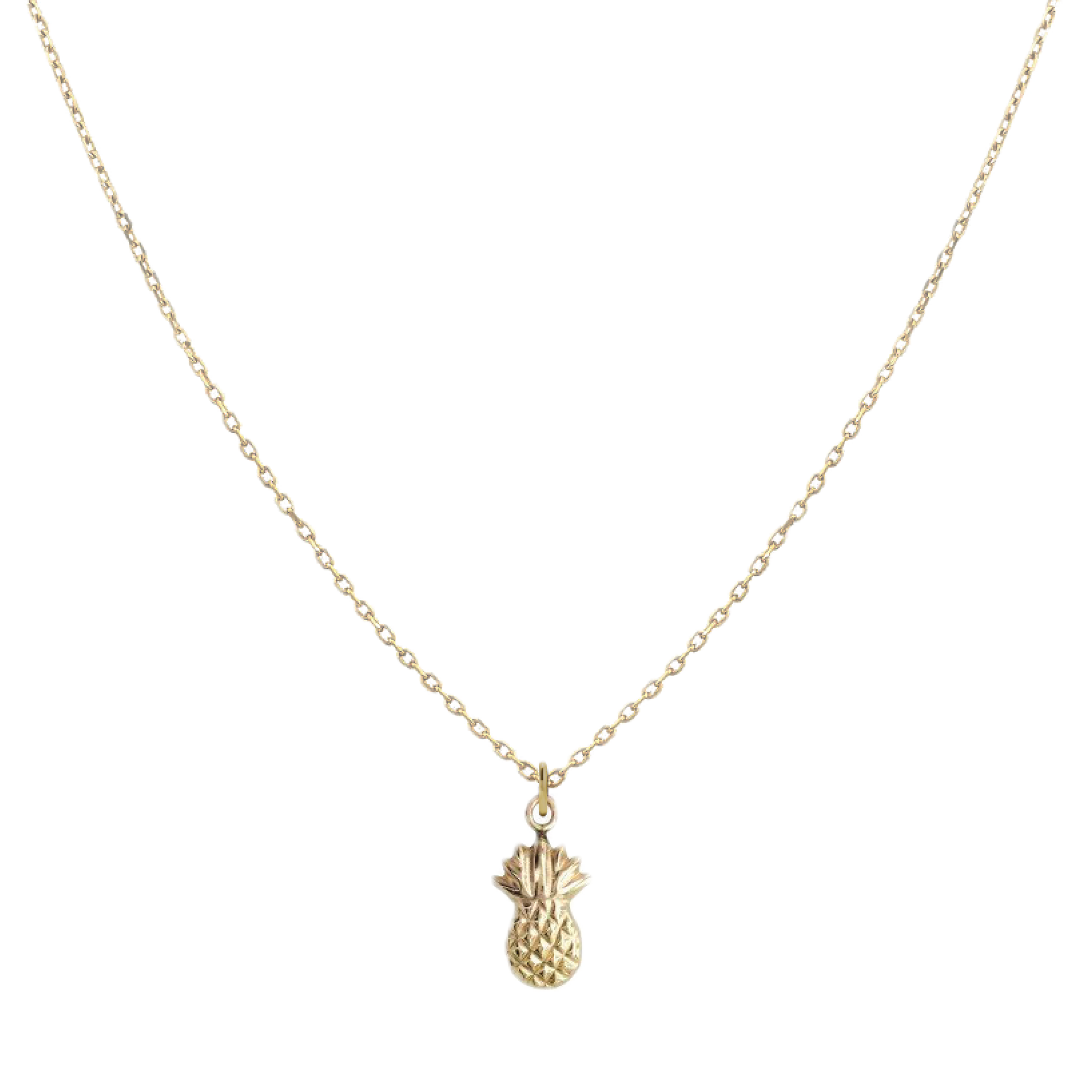 Tiny Charm Necklace Robyn Canady Pineapple 14K Gold Fill