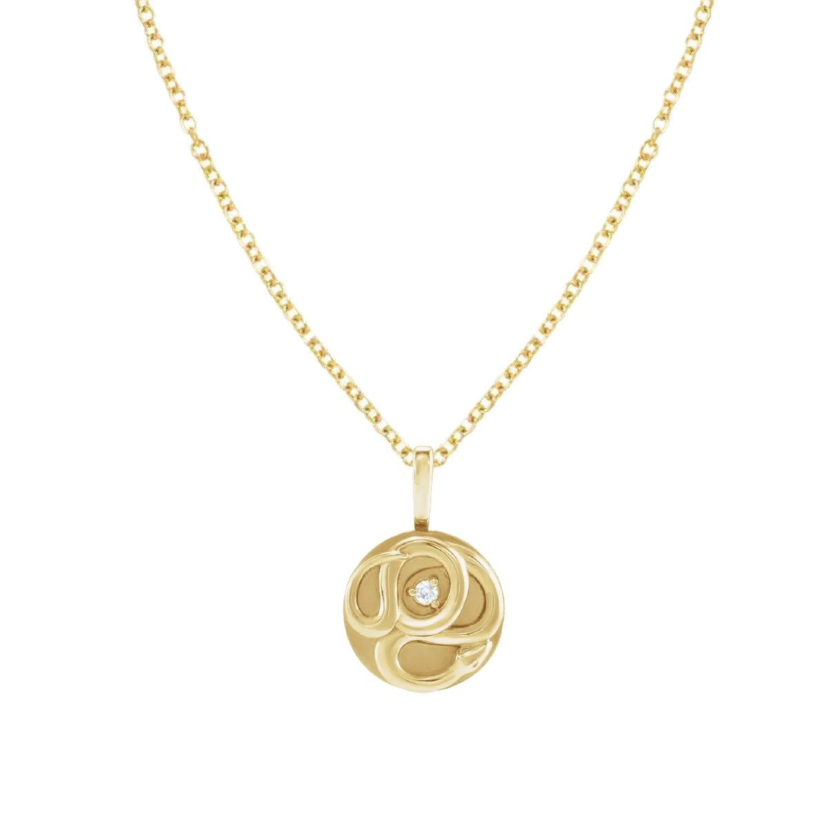 14K Snake and Diamond Medallion Necklace Necklace Robyn Canady 14K Gold Filled