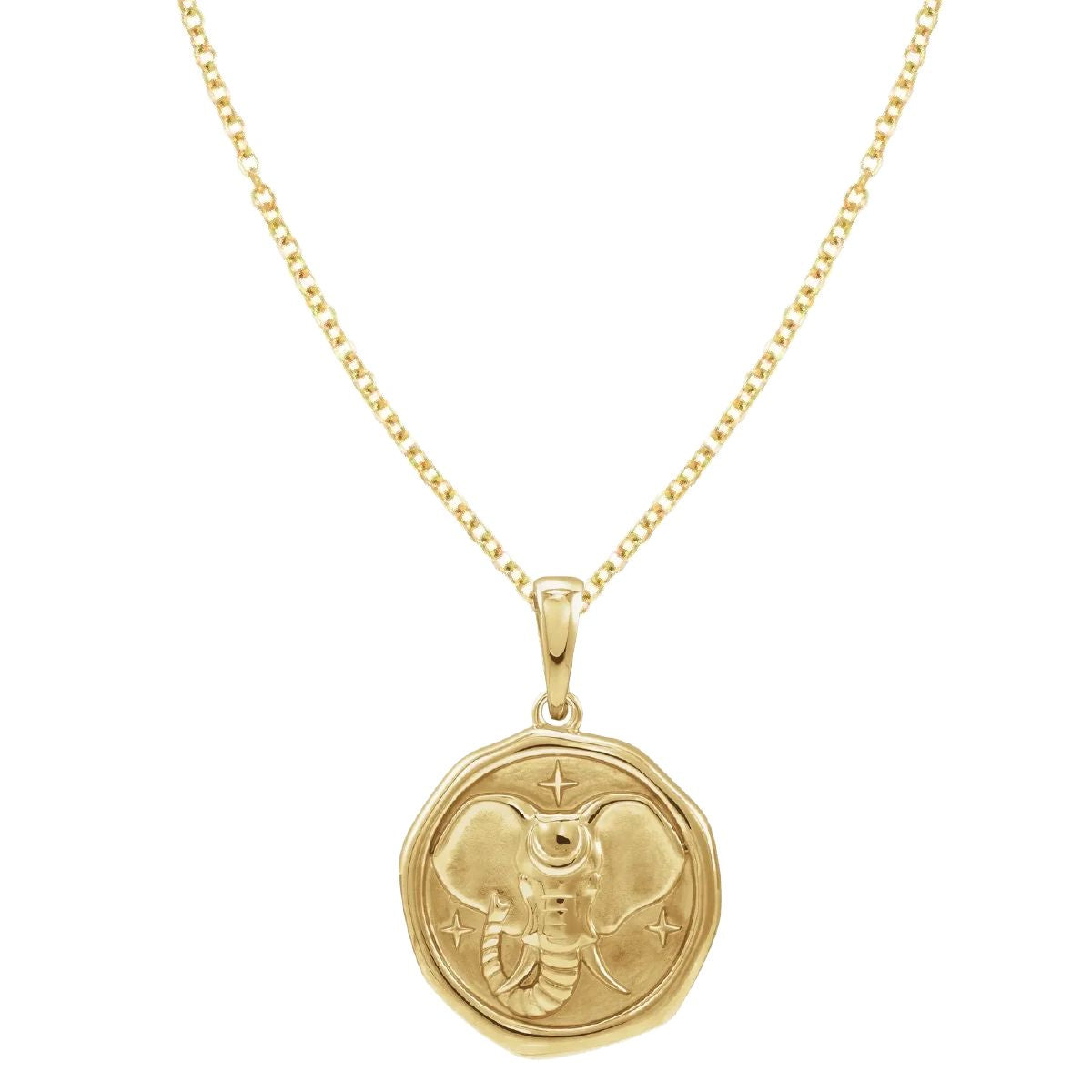 14K Large Lucky Elephant Medallion Necklace Necklace Robyn Canady 14K Gold Filled