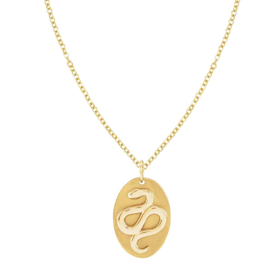 14K Snake Medallion Necklace Necklace Robyn Canady 14K Gold Filled