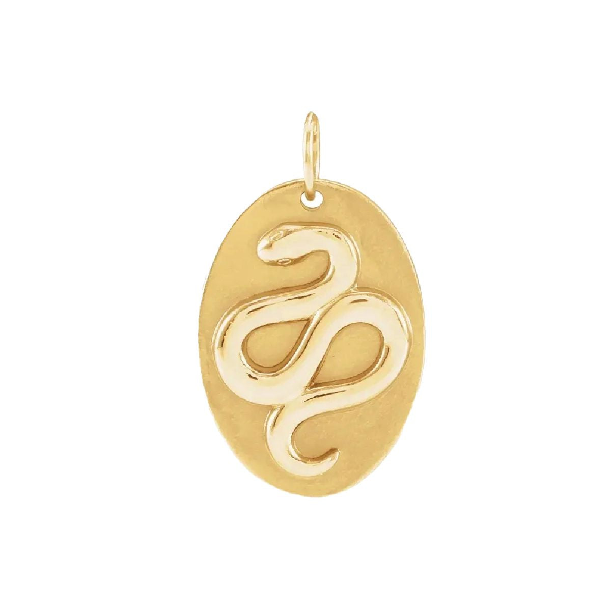 14K Snake Medallion Necklace Necklace Robyn Canady No Chain (Pendant Only)