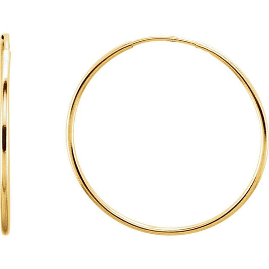 14K Gold Hoop Earrings Robyn Canady