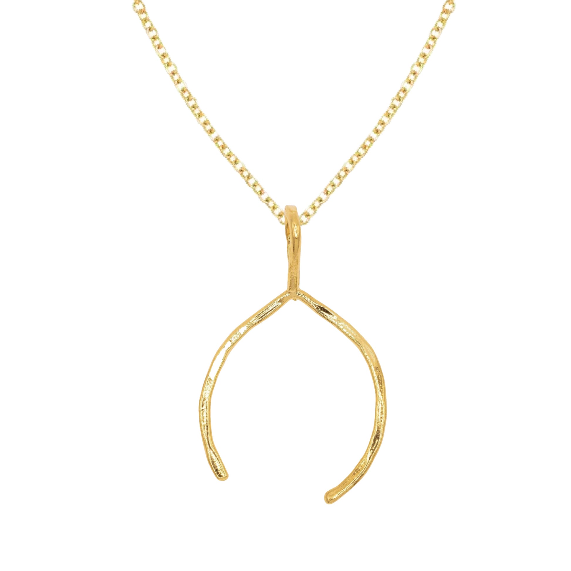 14K Gold Charm Necklaces - Choice of 11 Charms Necklace Robyn Canady 14K Gold Large Wishbone 