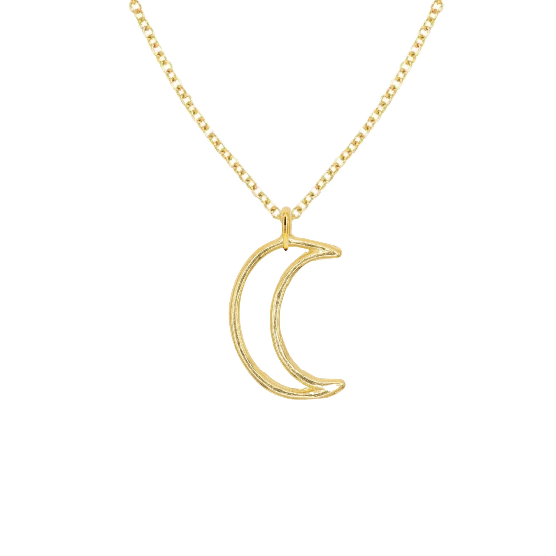 14K Gold Seahorse Charm Necklace Necklace Robyn Canady 