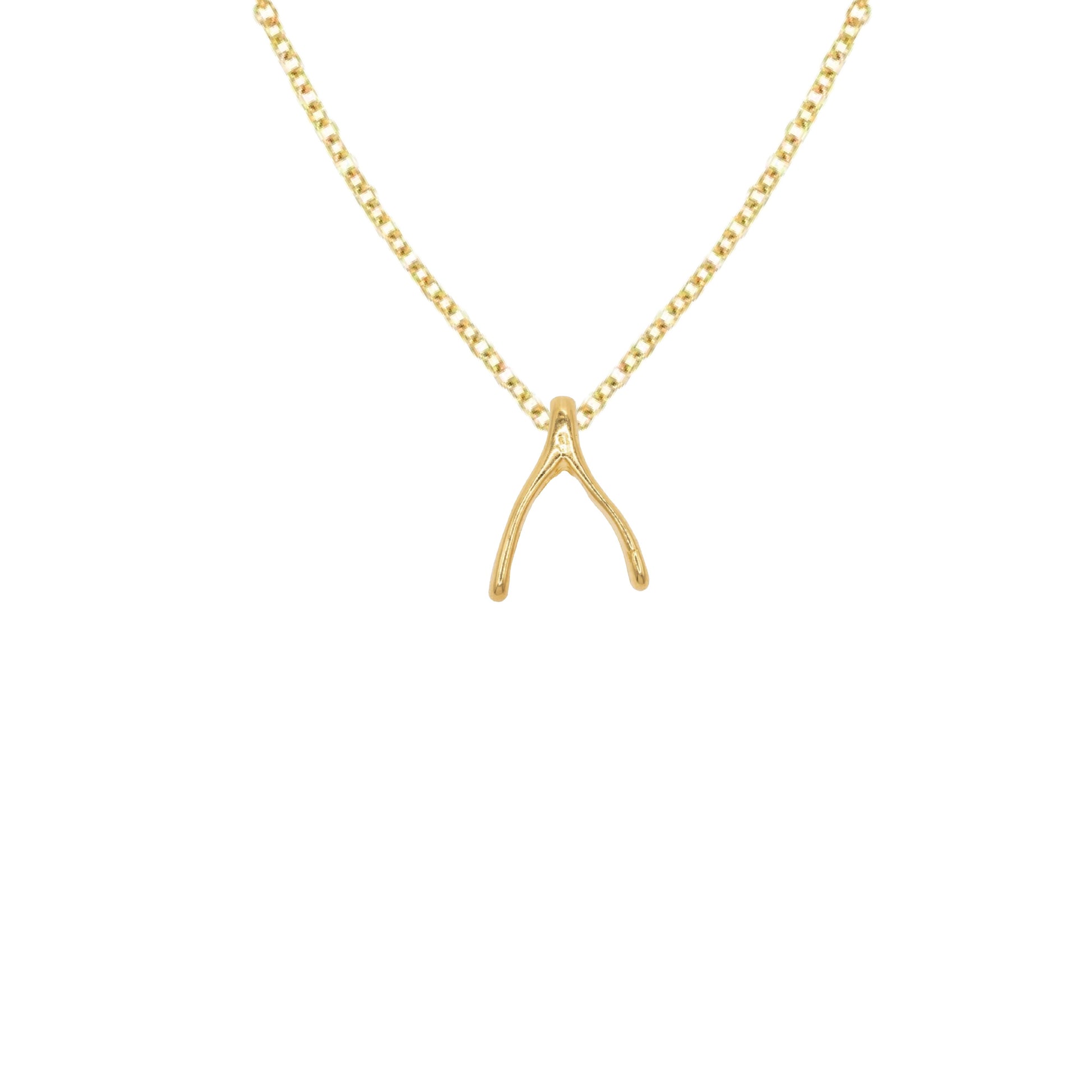 14K Gold Seahorse Charm Necklace Necklace Robyn Canady 