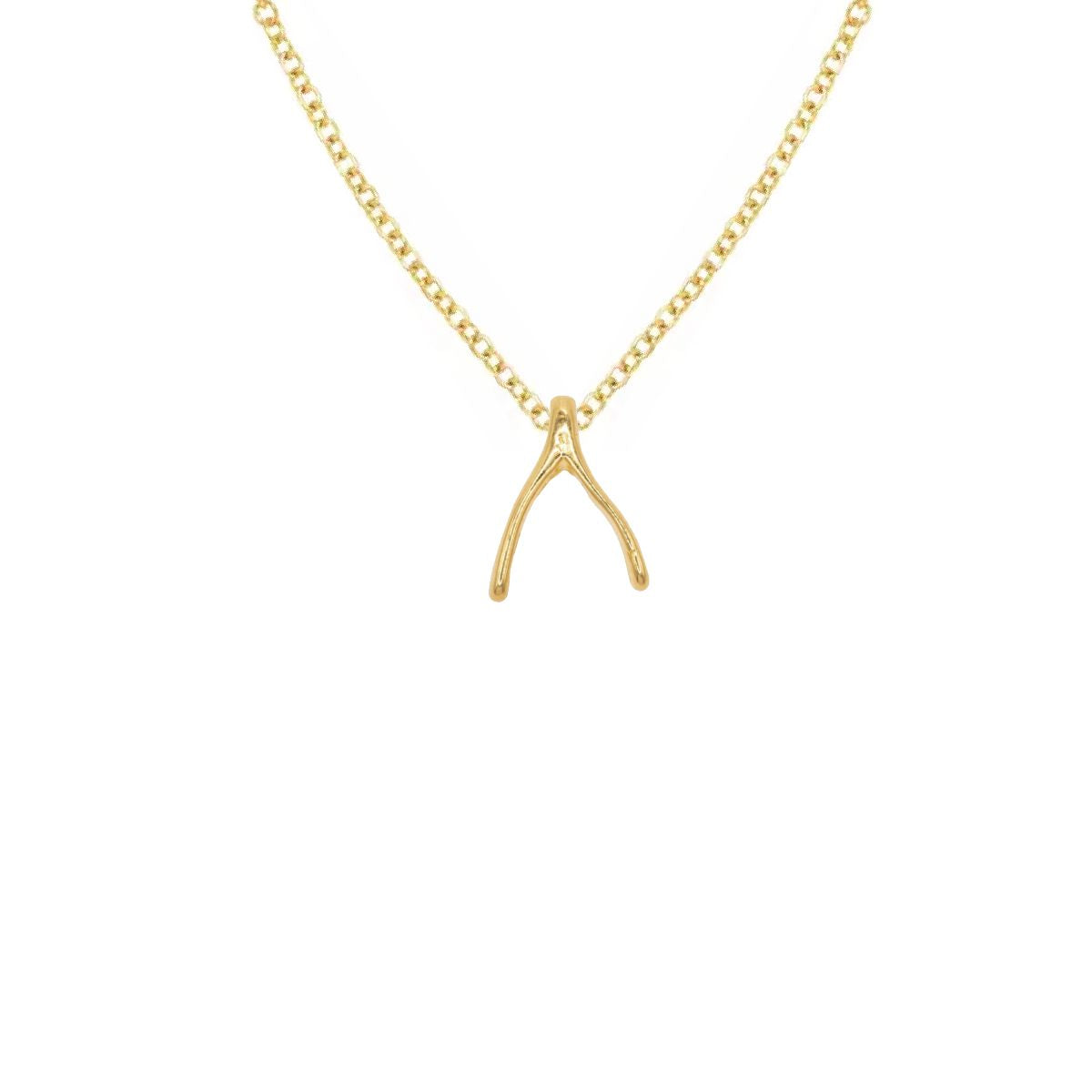 14K Gold Small Wishbone Charm Necklace Necklace Robyn Canady 14K Gold 