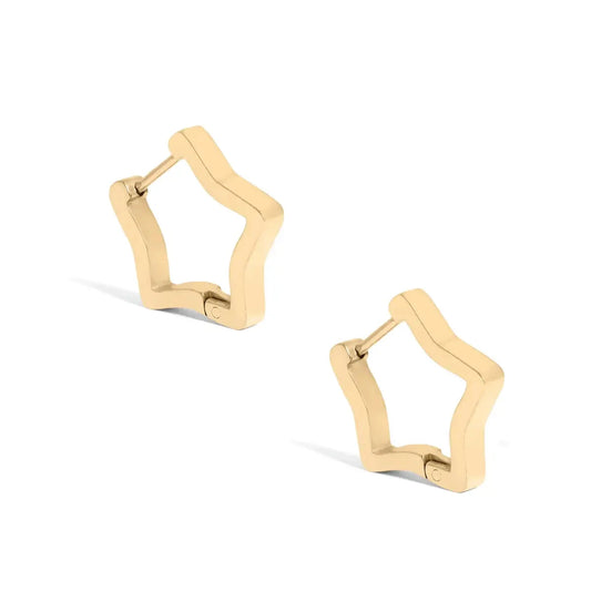 Hoop Earrings - Your choice of 8 styles Earrings Robyn Canady Star 