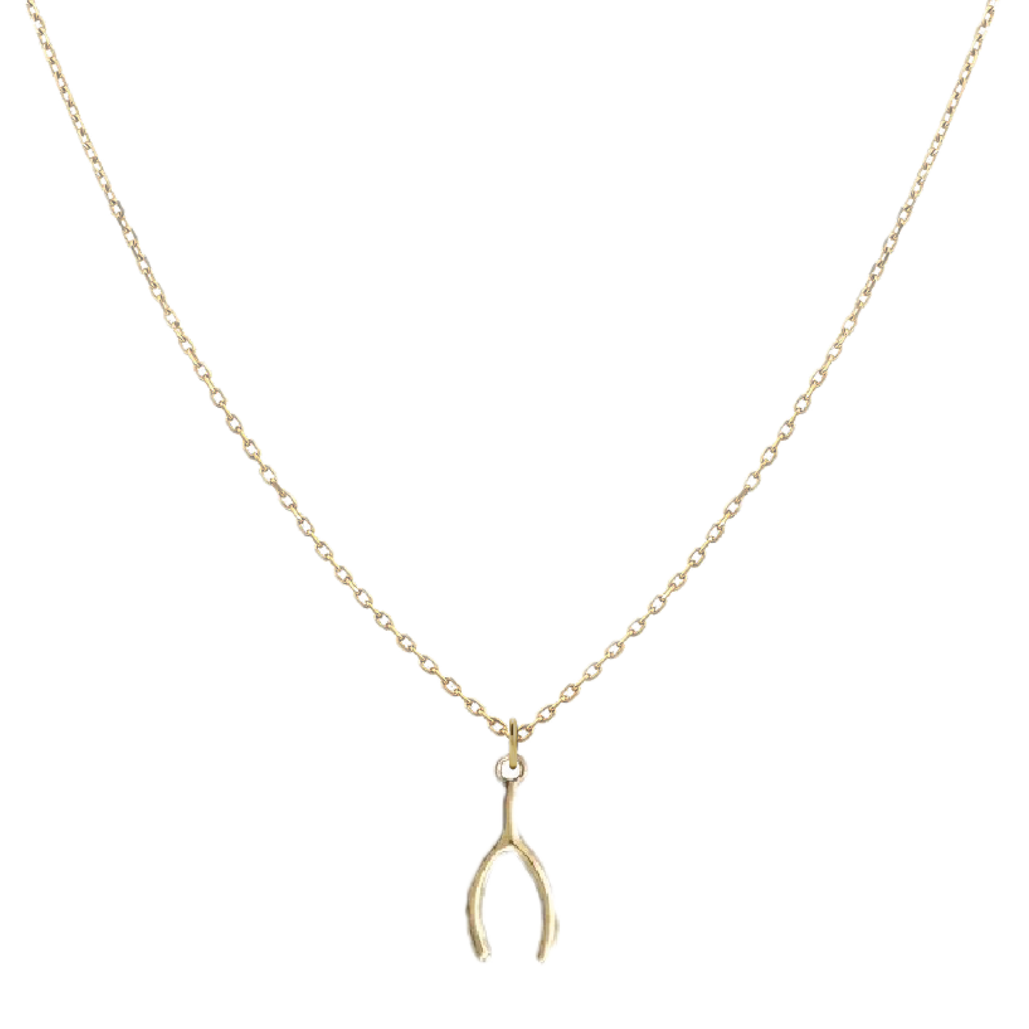 Tiny Charm Necklace Robyn Canady Wishbone 14K Gold Fill 
