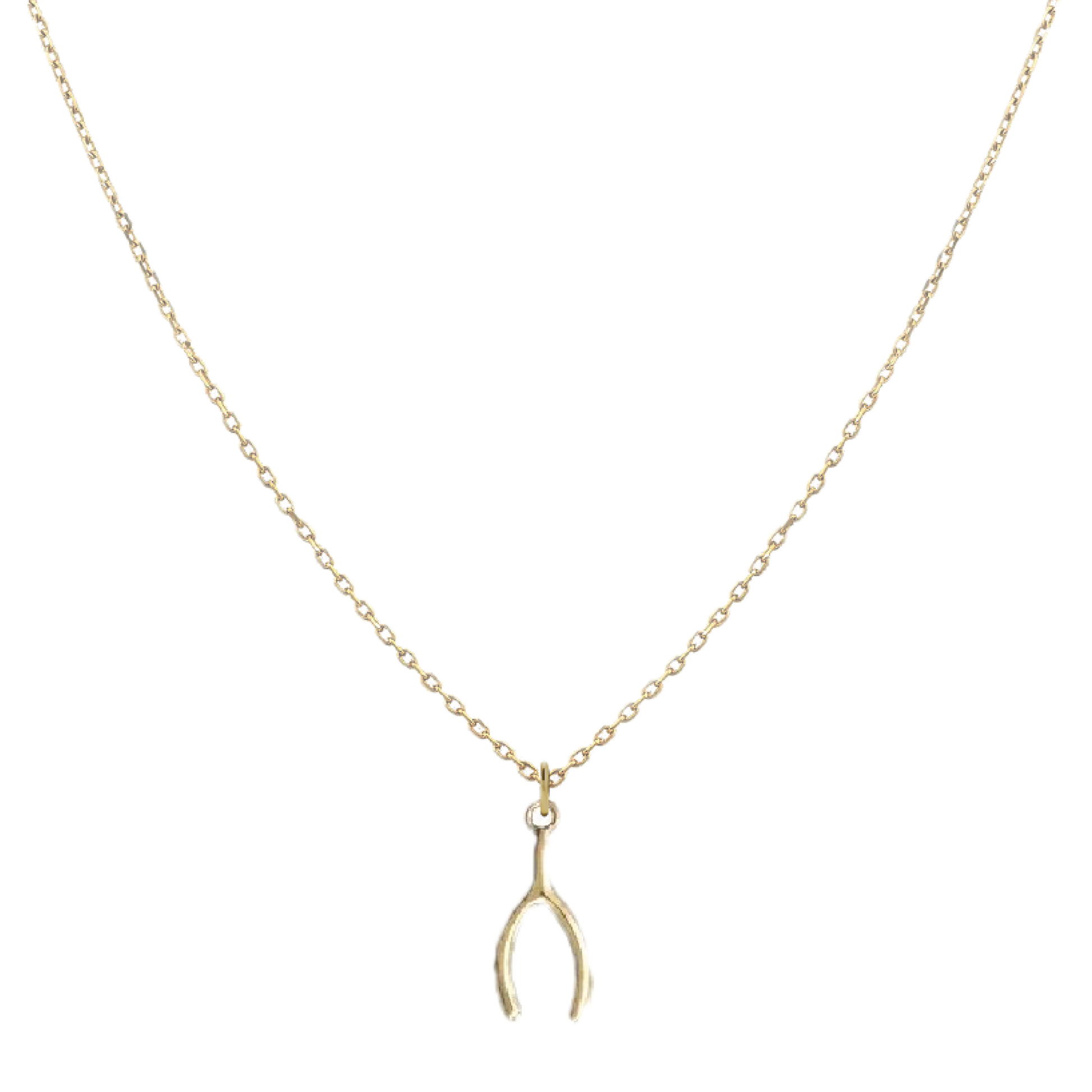 Tiny Charm Necklace Robyn Canady Wishbone 14K Gold Fill 