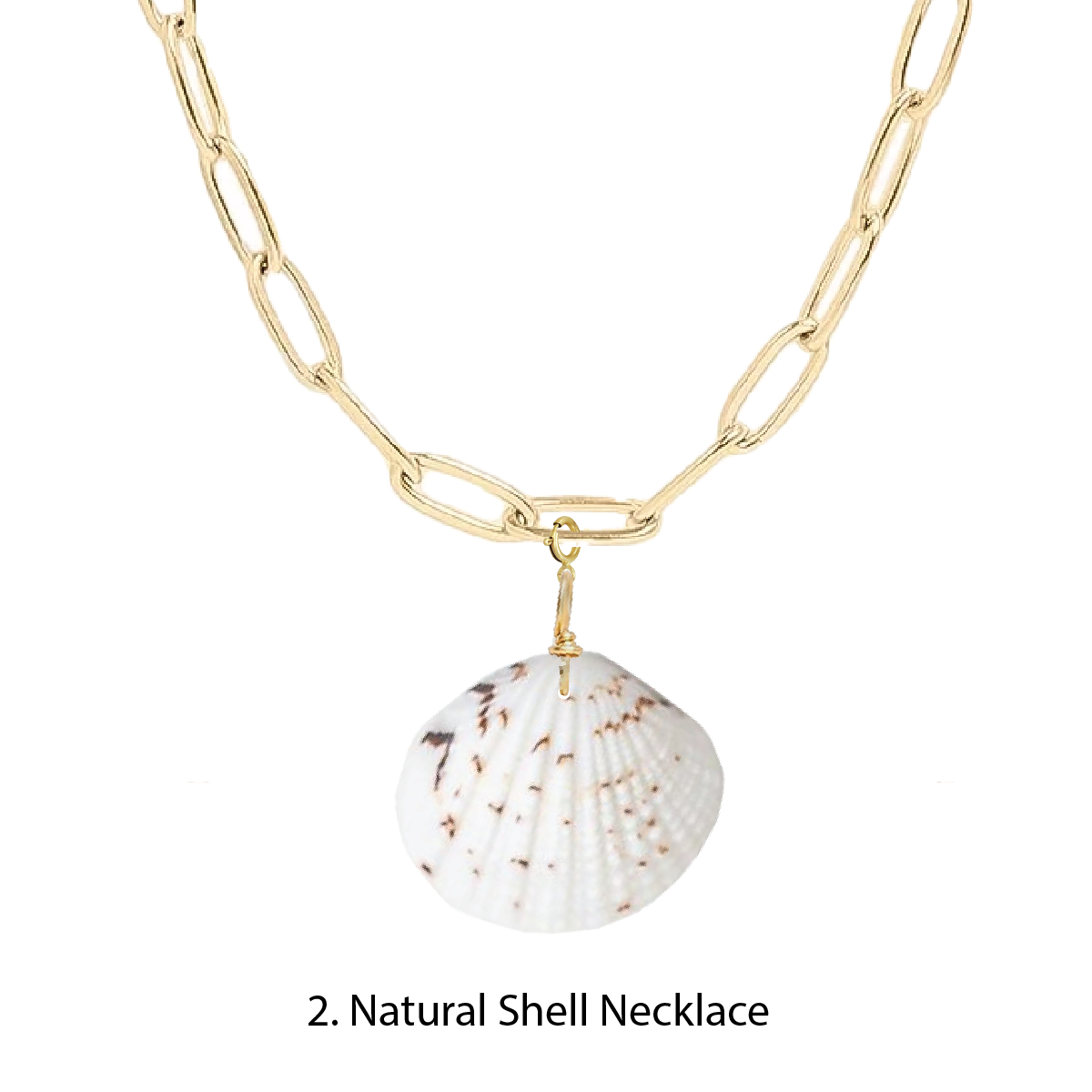 Gold chain necklace with a natural shell pendant on a white background