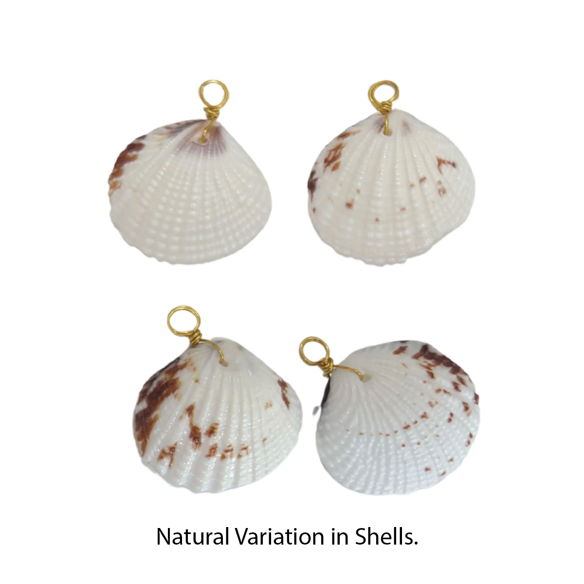 Four shell pendants with gold loops on a white background, labeled 'Natural Variation in Shells'.