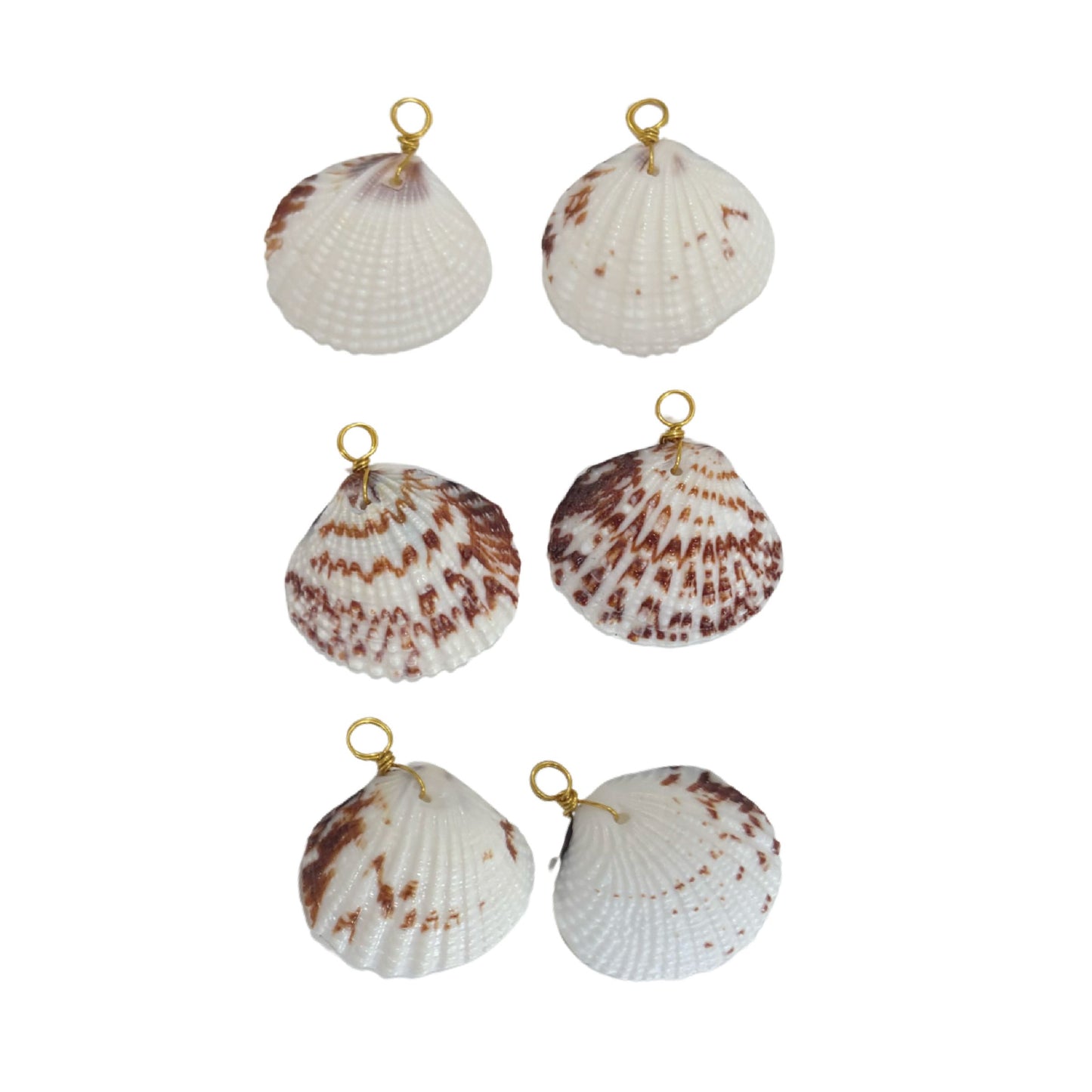 Natural Shell Hoop Earrings Robyn Canady 