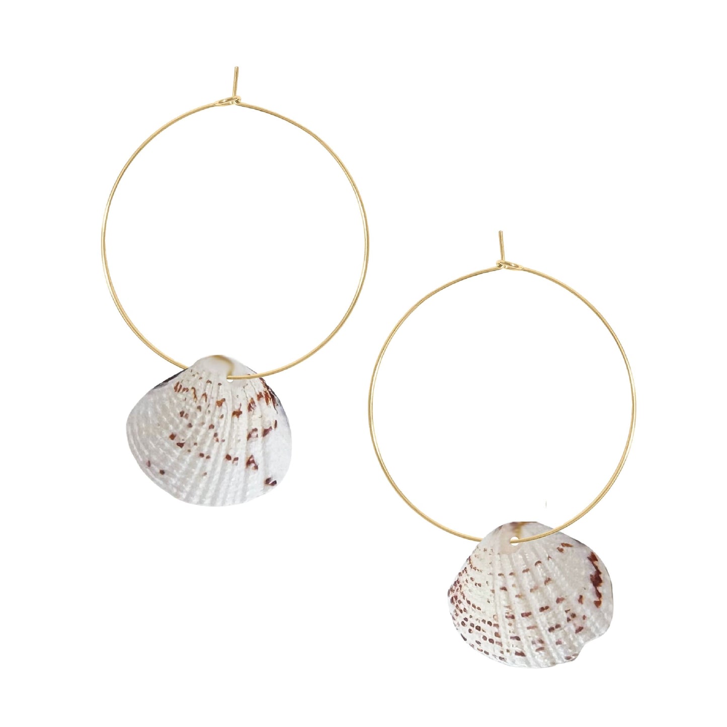 Natural Shell Hoop Earrings Robyn Canady Gold 