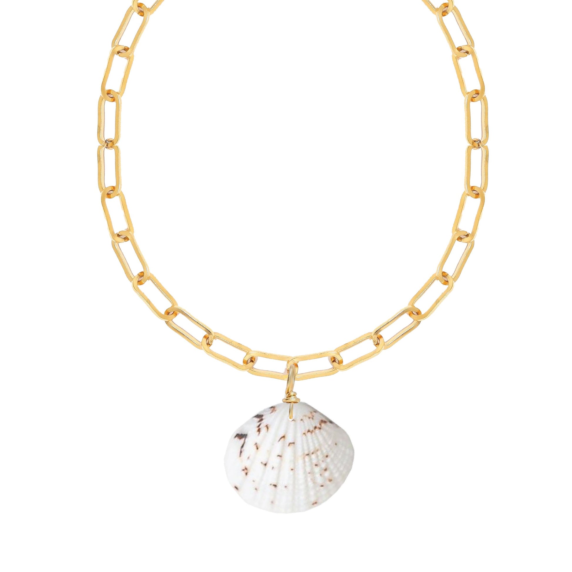 Natural Shell Paperclip Necklace Robyn Canady 