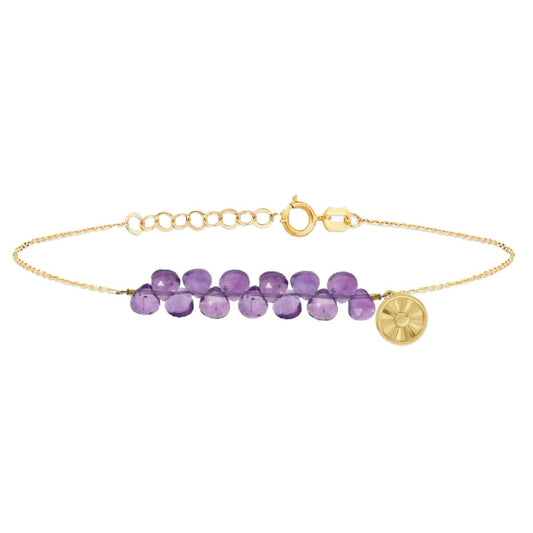 Happiness Bracelet - 14K Gold Sun Charm and Tiny Amethyst Drops Bracelet Robyn Canady 