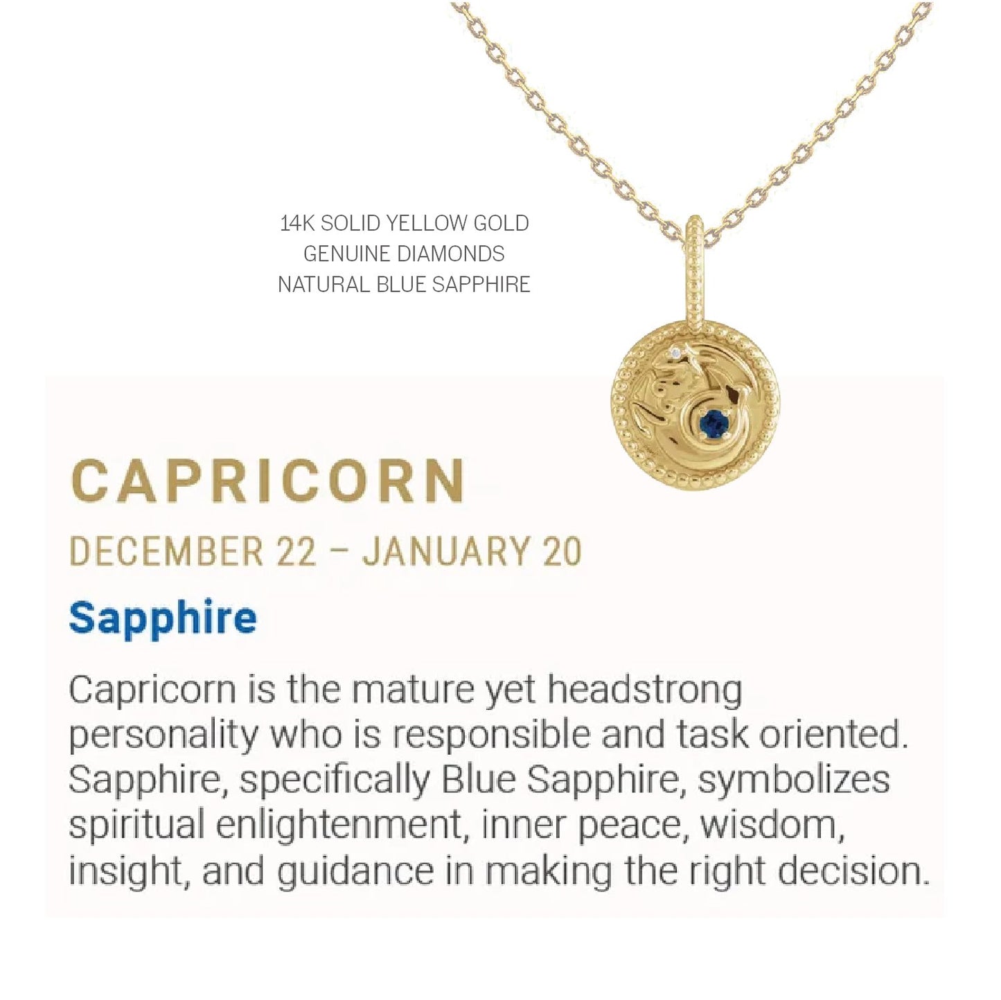 Zodiac Charm Necklace in 14K Gold with Diamonds Necklace Robyn Canady 14K Solid Gold 16" Capricorn