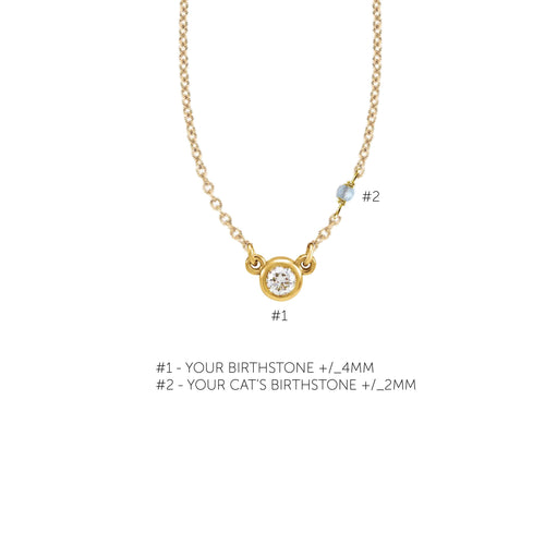 Your Birthstone + Your Cat's Birthstone (1 Cat) Necklace Robyn Canady 