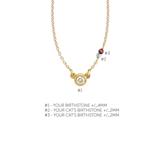 Your Birthstone + Your Cat's Birthstone (2 Cats) Necklace Robyn Canady 