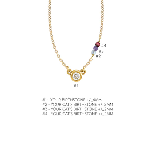 Your Birthstone + Your Cat's Birthstone (3 Cats) Necklace Robyn Canady 