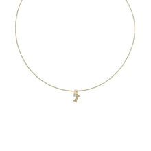 Load image into Gallery viewer, Charm Collection - For the Dog Lover Robyn Canady Charm + 14K Gold Filled Chain Add a Pearl 
