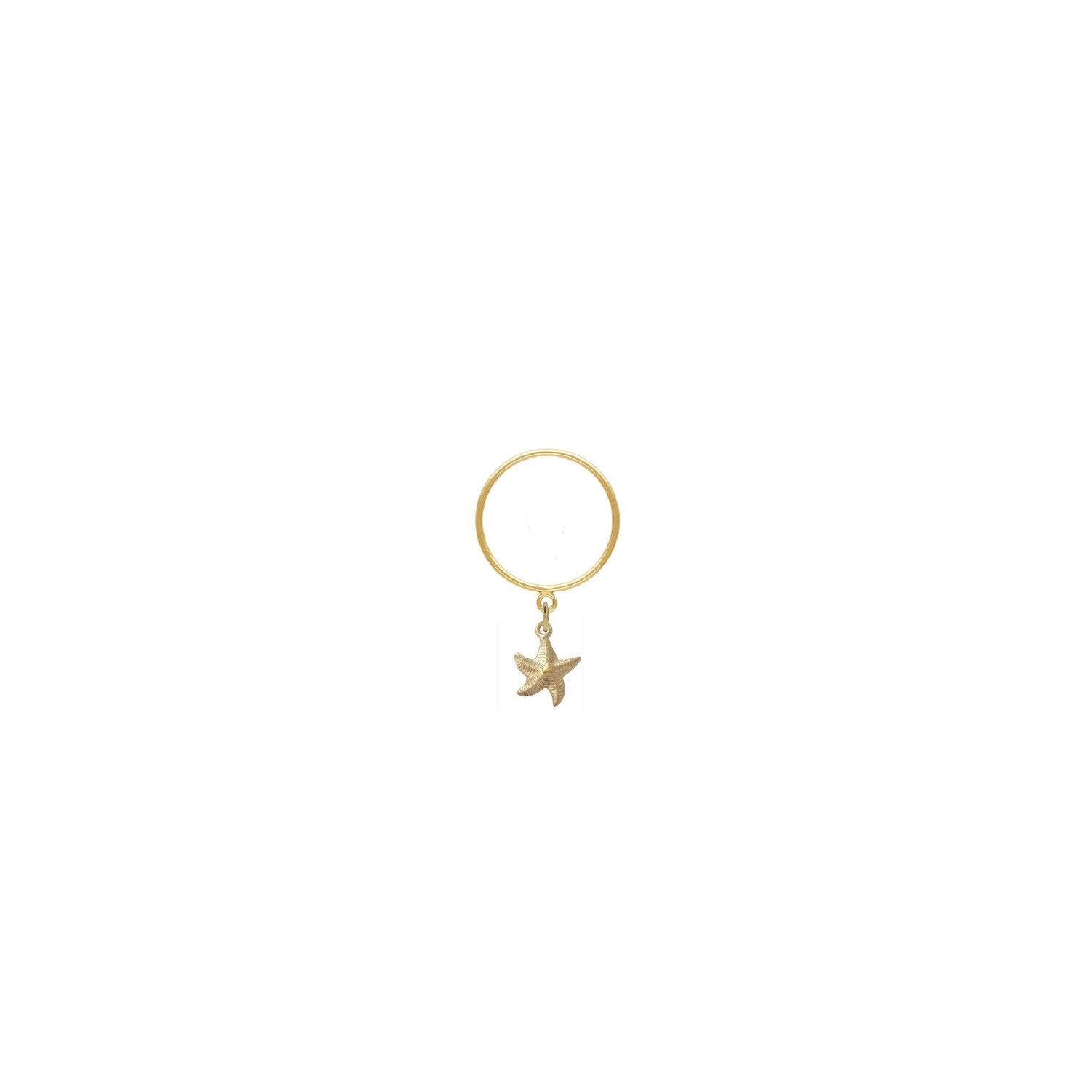 Tiny Starfish- NEW Mini Collection Robyn Canady 